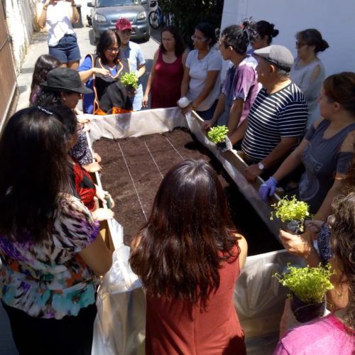 ¡Todo un éxito el primer Taller de Huerto Urbano!