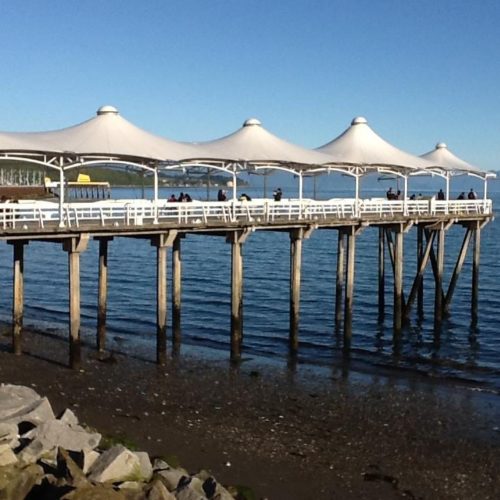 [El Llanquihue] Progresistas de Los Lagos cuestionan pasividad del municipio ante contaminación del borde costero