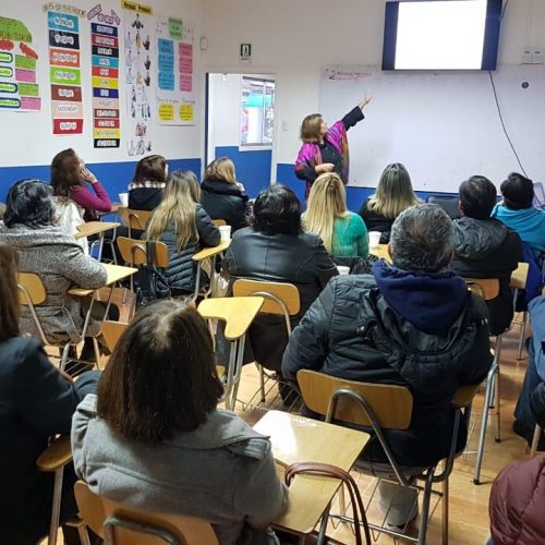 Mujeres de oposición de Ñuble debaten sobre letra chica de reforma a la salud