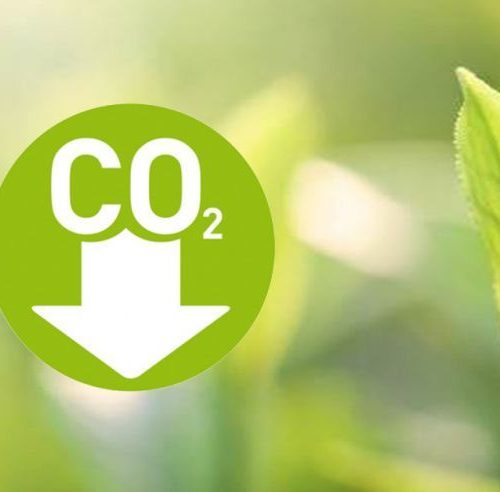 [Columna] Visión progresista del MedioAmbiente en medio del fin del modelo