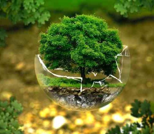 Chile: Hacia una reactivación económica sustentable y un nuevo modelo de desarrollo ecológico Chile: Hacia una reactivación económica sustentable y un nuevo modelo de desarrollo ecológico