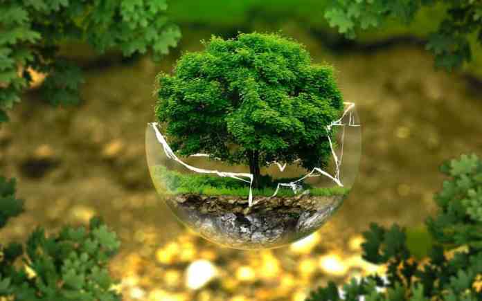 Chile: Hacia una reactivación económica sustentable y un nuevo modelo de desarrollo ecológico Chile: Hacia una reactivación económica sustentable y un nuevo modelo de desarrollo ecológico