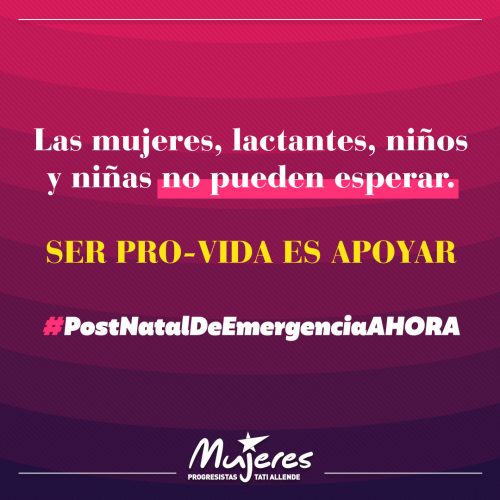 Postnatal de emergencia: Dirigentas de oposición llaman al Ejecutivo a tomarse en serio el slogan “los niños primero”