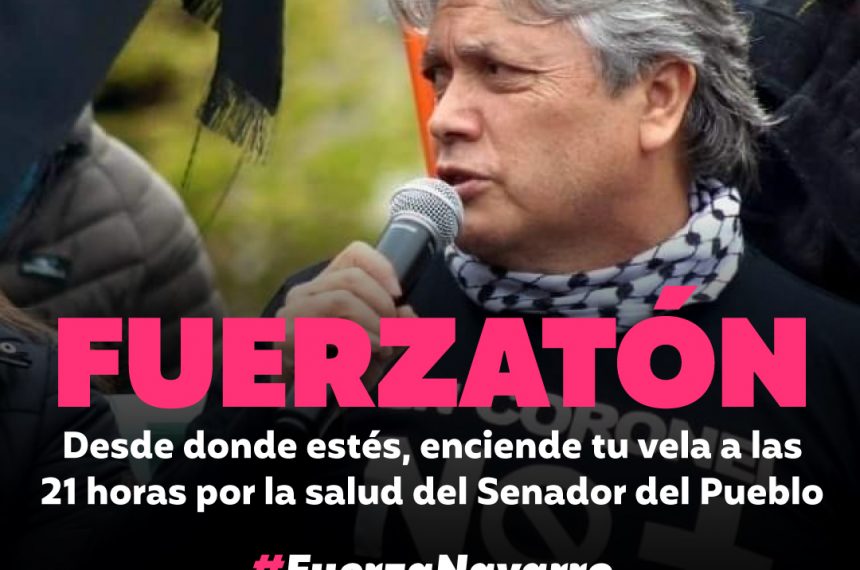 Camilo Lagos sobre estado de salud de senador Alejandro Navarro: “Él es un luchador, y ahora está luchando” Camilo Lagos sobre estado de salud de senador Alejandro Navarro: “Él es un luchador, y ahora está luchando”