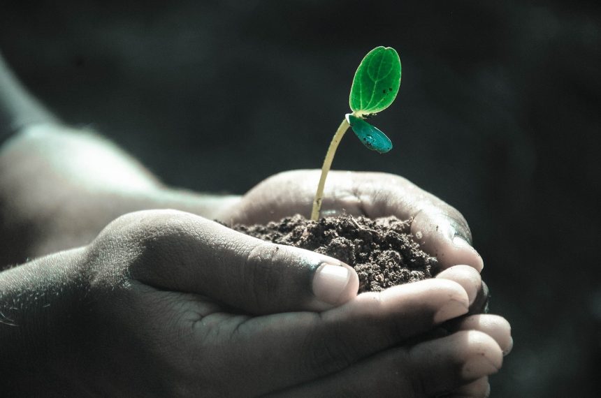 Progresistas proponen la utilización de Hidrógeno Verde como combustible Progresistas proponen la utilización de Hidrógeno Verde como combustible